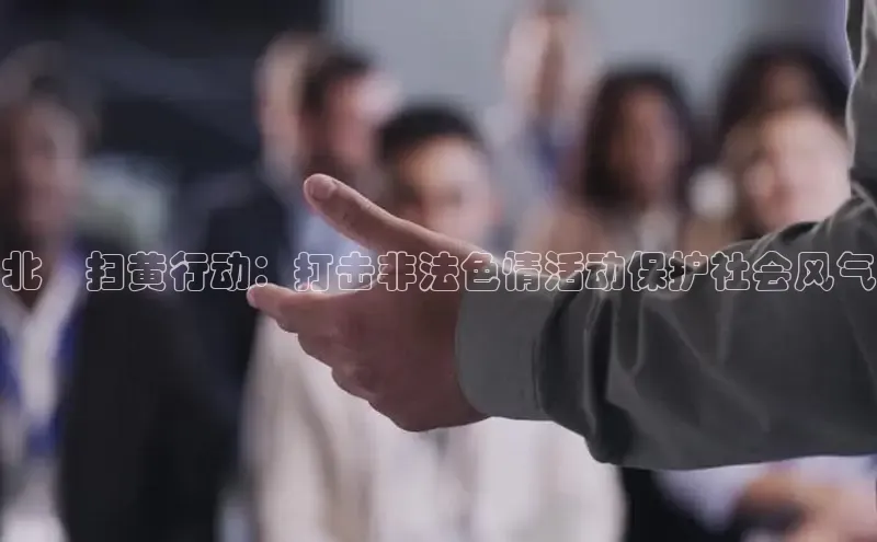 EON4官网颐驰 06北滘扫黄行动：打击非法色情活动保护社会风气
