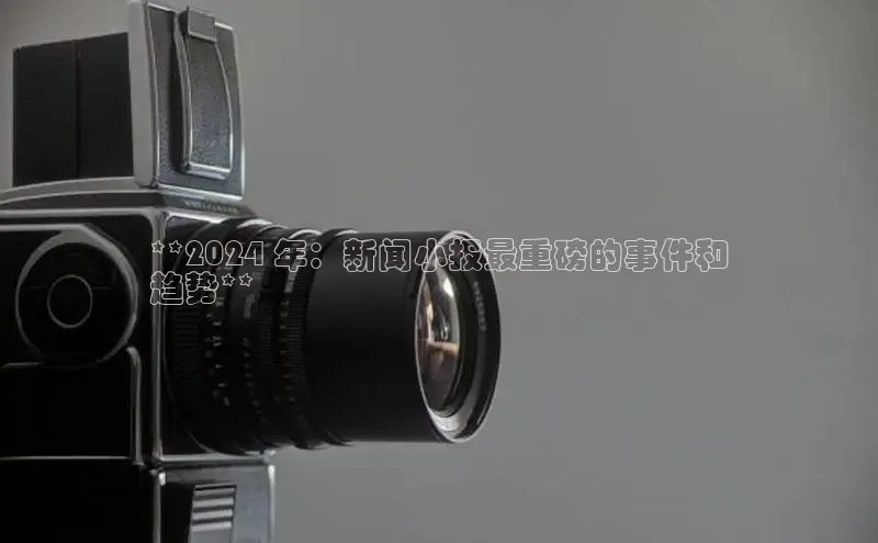 意昂体育4代理赛富乐斯**2024 年：新闻小报最重磅的事件和
趋势**