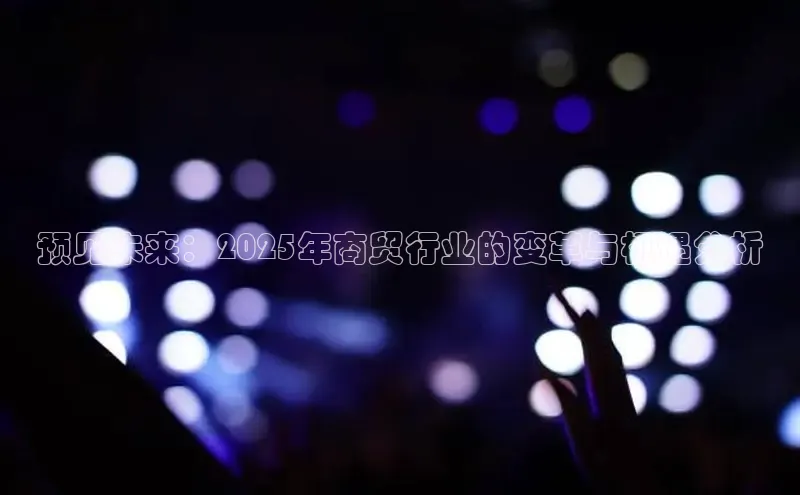 预见未来：2025年商贸行业的变革与机遇分析